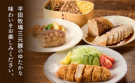 日本の米育ち平田牧場 三元豚ロースブロック（600g）・挽肉（300g）計900g　T036-009 肉 豚肉