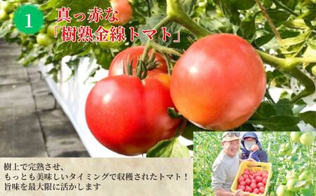 樹上完熟トマトジュース『大農』1L×6本 完熟 桃太郎ファイト トマトのおいしさギュッと詰まったごくごく飲めるトマトジュース 糸魚川 あぐりいといがわ 糸魚川農業興舎
