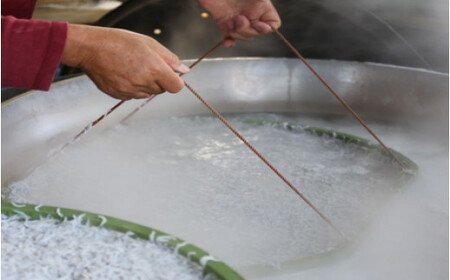 ご家庭用　和歌山県産　釜揚げしらす（冷蔵）500g※北海道・沖縄・離島配送不可/ しらす丼 丼ぶり シラス 冷蔵 ギフト お取り寄せ 和歌山県 田辺市 【mst024-c】