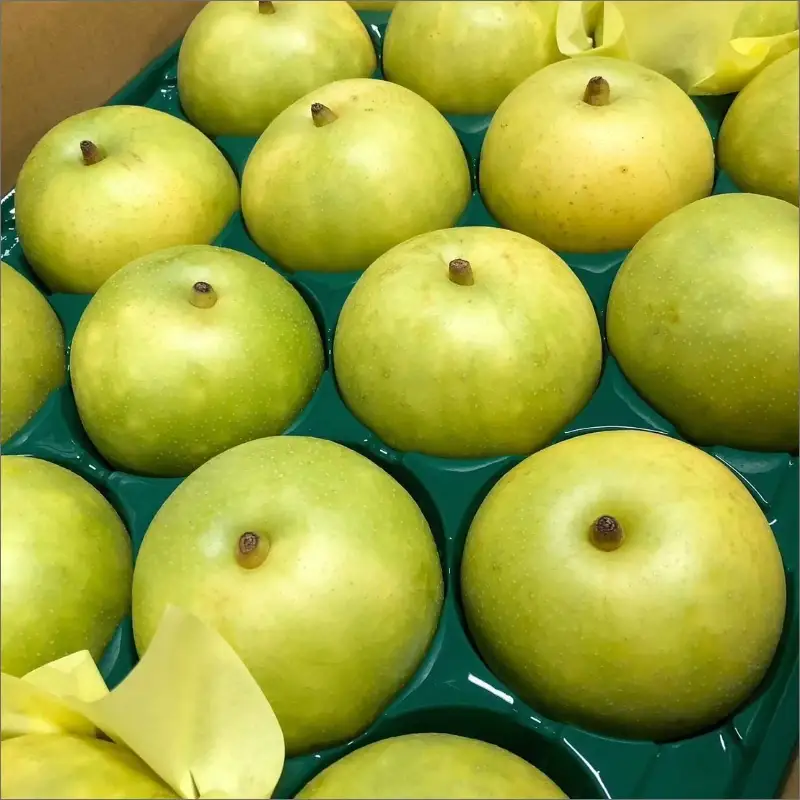 【先行予約】京丹後の梨ジュース 小瓶3本入り（2025年10月下旬～発送） 瓶 ジュース 国産 梨 なし ナシ ジュース ドリンク 飲料 果汁 京都 京丹後 ふるさと納税 梨ジュース