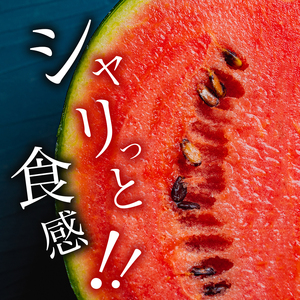 【 順次出荷中 ！】 小玉スイカ1玉 熊本和水町産 スイカ 小玉 | 熊本県 和水町 くまもと なごみまち すいか 西瓜 スイカ 小玉 1玉