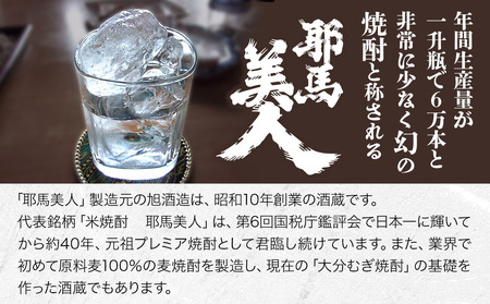 耶馬美人の姉妹品「禅海」 720ml 25度 米 1本 | お酒 酒 アルコール 日本酒 禅海 地酒 焼酎 米焼酎 大分県産 大分県 中津市