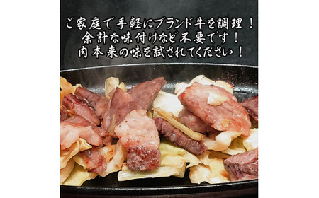 佐賀牛はしっこちゃん500ｇ 161-J1222