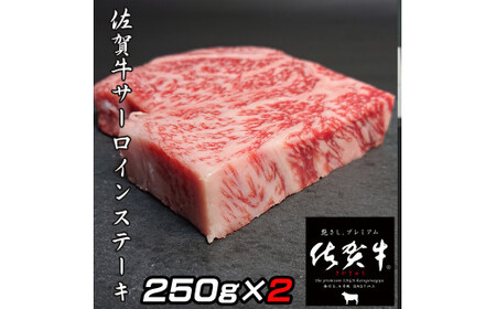 佐賀牛Ａ5サーロインステーキ250g×2枚 161-J775