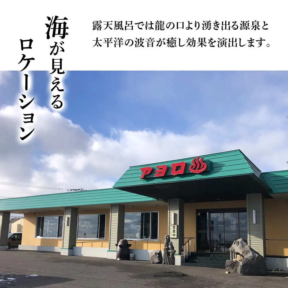 白老町 アヨロ温泉 入浴回数券 11回分 入浴チケット CF001