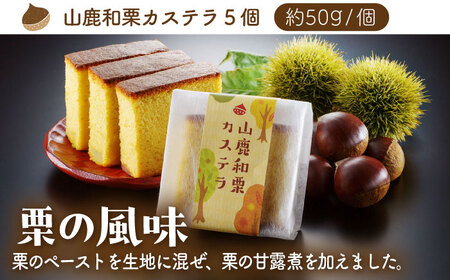 【3回定期便】カステラセット 山鹿和栗 & あんず 計10個 【株式会社あんず】[ZBT006]