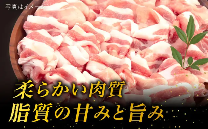 【全12回定期便】糸島産豚肉 ロース 肉 スライス しゃぶしゃぶ 用 600g 糸島市/糸島ミートデリ工房 [ACA328]