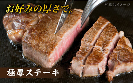 【全12回定期便】【極上 シャトーブリアン ブロック】 600g A4ランク 博多和牛 糸島市/糸島ミートデリ工房 [ACA355]