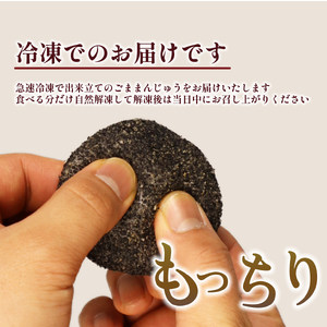饅頭 ごままんじゅう 10個  和泉屋 饅頭 饅頭 饅頭 饅頭 饅頭 I73_02