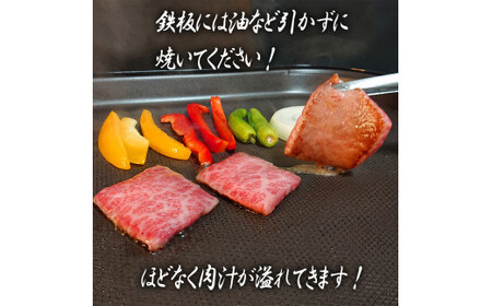 佐賀牛　上カルビセット500ｇ 161-J779