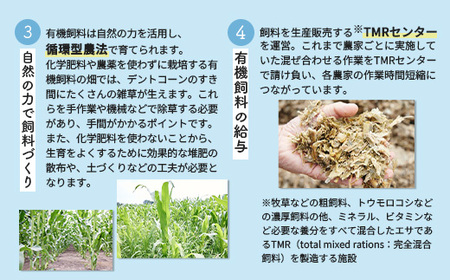 《配送地域限定》明治オーガニック牛乳 900ml【4本】【73000102】