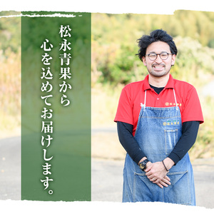＜先行予約受付中！2026年5月上旬以降順次発送予定＞数量限定！訳あり びわ(約1kg) 阿久根市 フルーツ 果物 デザート 甘味 酸味 果肉 果汁【松永青果】akn053-10