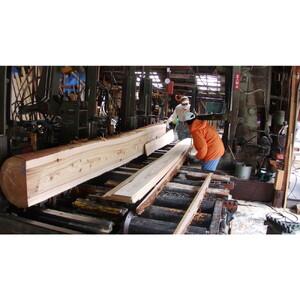 間伐材(スギ)割り箸「国際博記念」15膳セット