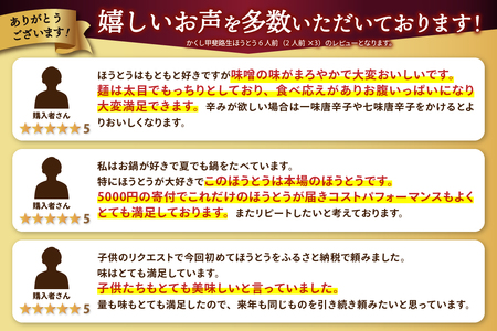 かくし甲斐路生ほうとう6人前（2人前×3）