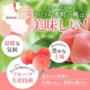 桃  極上秀品 3個入 ※2026年6月末から7月末順次発送【BK001-kgr002】