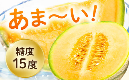 【先行予約】【数量限定】 マルセイユメロン 3Lサイズ以上 × 2玉 【2026年6月上旬より順次発送】 [A-16518]