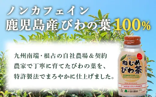 【定期便 6ヶ月全3回】 鹿児島県産 ねじめびわ茶 ボトル缶 6ケース ≪ 1回あたり48本 (24本入り×2箱) ≫ 2か月おきにお届け ノンカフェイン E7524 | 国産 お茶 健康茶 カロリーゼロ 無香料 無着色 ポリフェノール さわやか 甘み 香ばしい おいしい びわの葉 産地直送 鹿児島県 南大隅町 十津川農場