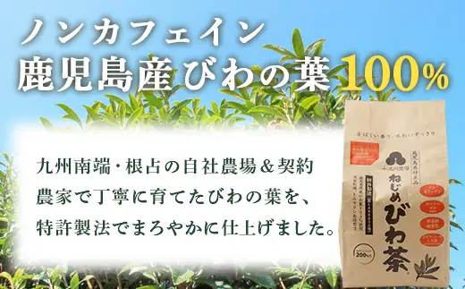 鹿児島県産 ねじめびわ茶 ティーバック 400包入（200包入り×2袋）ノンカフェイン E7523 | 国産 お茶 健康茶 カロリーゼロ 無香料 無着色 ポリフェノール さわやか 甘み 香ばしい おいしい トルマリン石焙煎 びわの葉 大容量 産地直送 鹿児島県 南大隅町 十津川農場