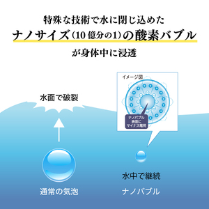 ［定期便６ヶ月］ミネラルウォーター 「富士登山水」 500ml×24本入 酸素ナノバブル 水 バナジウム 富士山 登山サポート飲料水 富士山の伏流水 ミネラルウォーター バナジウム 富士山 酸素ナノバブル ナノスイカンパニー 富士市 飲料水 [sf025-003]