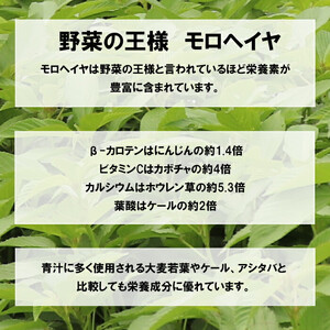 いづものモロヘイヤ100パウダー(500ｇ)