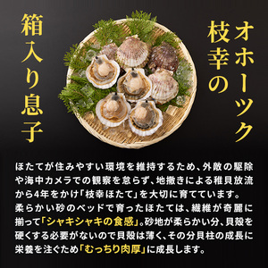 プロも認めるオホーツクブランド「枝幸ほたて」冷凍貝柱1kg（3Sサイズ：41粒～50粒）枝幸漁協 【 刺身 魚介 帆立 超目玉 魚貝類 貝類 海の幸 枝幸産 つまみ 肴 お酒のお供 お酒のあて 北海道 オホーツク 枝幸 】