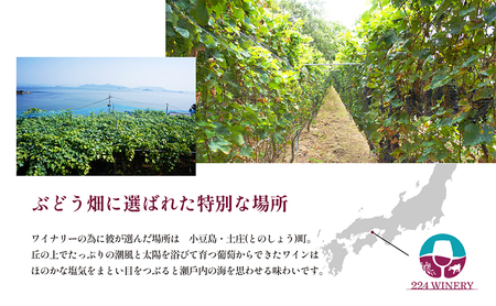 【 小豆島 】小豆島醸造 木樽熟成 メルロー 2023年 1本 化粧箱入り お酒 酒 ワイン 赤ワイン 熟成 香川 香川県 土庄 土庄町
