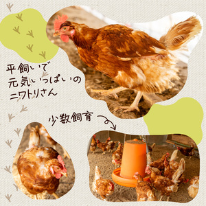 こだわり たまご 30個 (10個×3パック) 新鮮 平飼い 卵 ﾀﾏｺﾞ