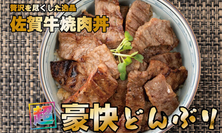 佐賀牛 焼肉 400g B120-031 焼肉 牛肉 厳選部位