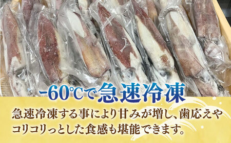 刺身用 剣先イカ 約2kg（急速冷凍）《壱岐市》【魚助】 イカ いか 剣先いか ケンサキイカ刺し身 鮮魚 海鮮 [JFX001]
