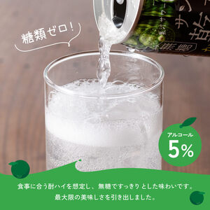 サンA 乾杯果汁「マンゴー酎ハイ＆へべす酎ハイ」48本【飲料 アルコール お酒 チューハイ マンゴー へべす 宮崎県産 川南町 送料無料 E3008】