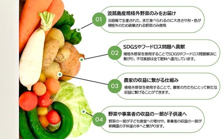 【シーサイドグロサリー】淡路島産規格外野菜ボックス・Sサイズ（お一人様向け）