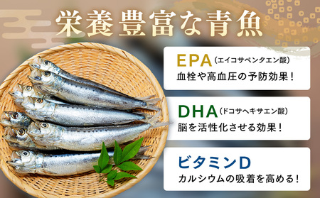 いわし 丸干し 48尾 (8尾×6パック) 干物 冷凍 小分け 愛知県 南知多町 ご飯 ごはん おかず おつまみ 魚 イワシ 国産
