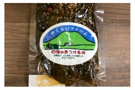漬物クラブ 四季の漬物 3種セット [やくらい土産センター 宮城県 加美町 44581302] 44581302