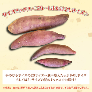 茨城県産 紅はるか 訳あり サイズミックス　約5kg｜訳あり わけあり 訳アリ さつまいも サツマイモ さつま芋 紅はるか べにはるか 芋 いも 茨城県産 行方市(FU-1)