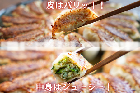 餃子 きゃべつ餃子 120個