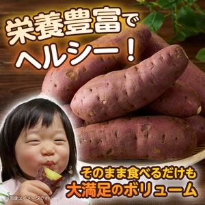 【先行予約】富士美芋 生1.7kg さつまいも 甘い 蜜がたっぷり 加熱後糖度30以上 絶品 栄養豊富 期間限定 富士市 やわらか [sf070-001]