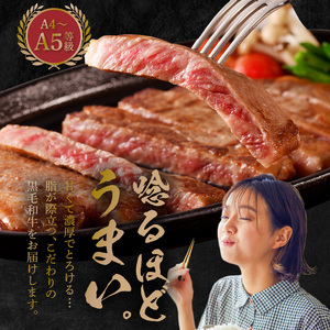 S001-022-T03_【定期便3回】A4～A5等級 黒毛和牛 サーロインステーキ 1枚（300g）たれ1本付