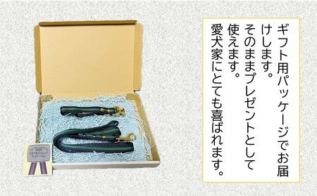 トイプードル及び小型犬用カラー（首輪）＆リード(カラー：紺・緑・紺)【001-016】