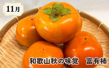 柿とみかん【魚鶴商店厳選】和歌山人気のフルーツ定期便（柿・みかん）【定期便全3回】【UT115】【Z91060-tkb】