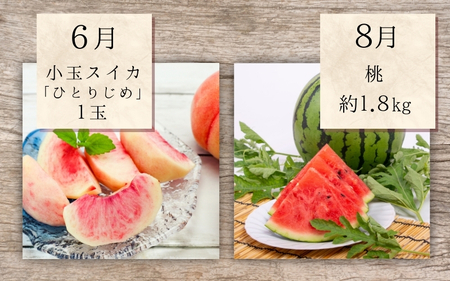 【2・4・6・8・10・12月 偶数固定月発送 全6回】和歌山産 旬のフルーツ お楽しみ 定期便 【魚鶴商店】【UT113w】【Z91095-tkb】