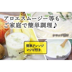【食用】朝採り アロエベラ生葉 2kg（2枚～4枚）3年物　宮城県産