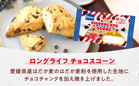 パン スコーン チョコスコーン 20個 パン BJAA004