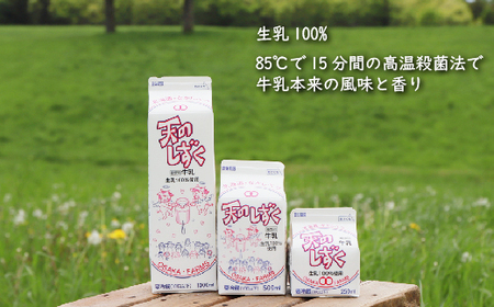 【定期便：全6回】天のしずく　詰め合わせセットＡ(1000ml×3本・500ml×3本・250ml×3本,合計5.2L)【5100301】