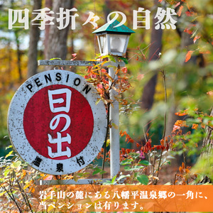 源泉かけ流し温泉宿 ペンション日の出 【平日限定】 素泊り 1泊2日 1名様 ／ 宿泊 宿泊券 宿泊チケット チケット ペンション 一泊二日 温泉 お出掛け お出かけ 一人旅 ひとり旅 旅行 旅 トラベル 観光 観光旅行 ワーケーション 岩手県 八幡平市 八幡平温泉郷
