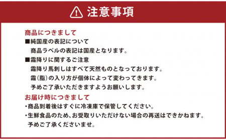 【純国産】満喫セット 計300g 醤油ボトル付 赤身 大トロ 馬刺し 馬肉