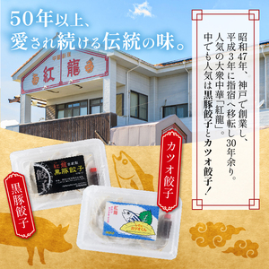 黒豚 餃子 10個入×10パック 地元の中華料理店で人気 紅龍 IB131-003 餃子 餃子 
