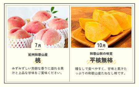 魚鶴商店のフルーツ定期便（みかん・オレンジ・桃・柿）【発送月固定 定期便 全4回】【Z91116-tkb】