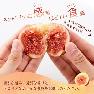 【尾道特産・秋の味覚！しまのいちぢく（訳あり品）】瀬戸内・因島の蓬莱柿（ほうらいし）約320g×5パック【9月より配送】