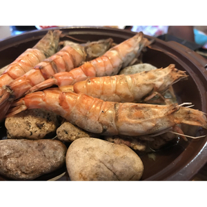 【23003】鳥取網代港 ≪幻のエビ≫朝獲れ！活モサエビ【さかなや新鮮組】発送は2026年2月～