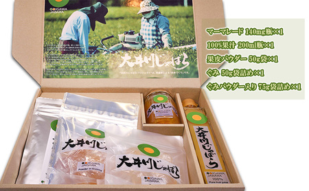 大井川 じゃばら 加工品 5点セット 柑橘 対策 マーマレード 100%果汁 果皮パウダーぐみ ぐみパウダー入り フルーツ
